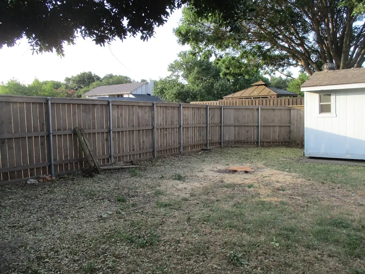 Cleared yard after professional tree removal in Defiance